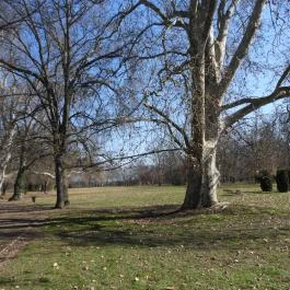 Új-Ebergényi Kastélyszálló , Vasszécseny - Külső kép