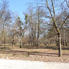 Új-Ebergényi Kastélyszálló , Vasszécseny - Külső kép