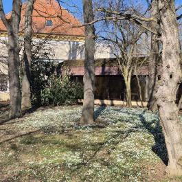 Új-Ebergényi Kastélyszálló , Vasszécseny - Medence/kert