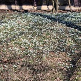 Új-Ebergényi Kastélyszálló , Vasszécseny - Külső kép