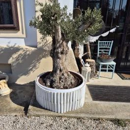 Új-Ebergényi Kastélyszálló , Vasszécseny - Külső kép