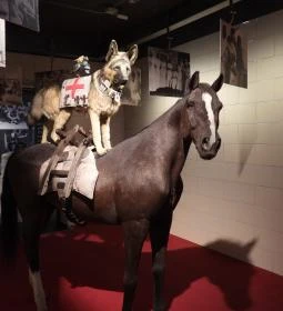 Új világ született kiállítás