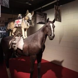 Új világ született kiállítás, Budapest - Belső