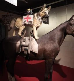 Új világ született kiállítás