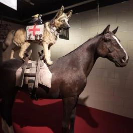 Új világ született kiállítás, Budapest - Belső