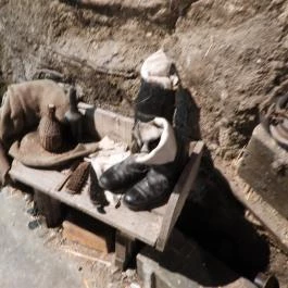 Új világ született kiállítás, Budapest - Belső