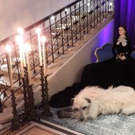 Új világ született kiállítás, Budapest - Belső