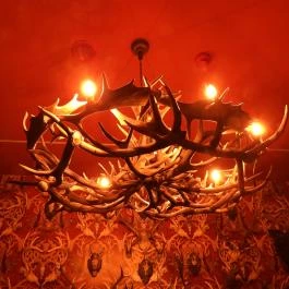 Új világ született kiállítás, Budapest - Egyéb