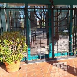 Új zsinagóga Békéscsaba - Egyéb