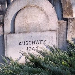 Új zsinagóga Békéscsaba - Egyéb