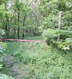 Újbudai Olimpia park