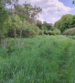 Újbudai Olimpia park