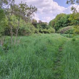 Újbudai Olimpia park, Budapest - Külső kép
