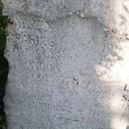 Újbudai Olimpia park, Budapest - Egyéb