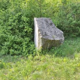 Újbudai Olimpia park, Budapest - Egyéb