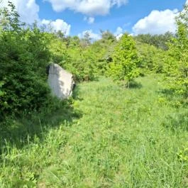 Újbudai Olimpia park, Budapest - Egyéb