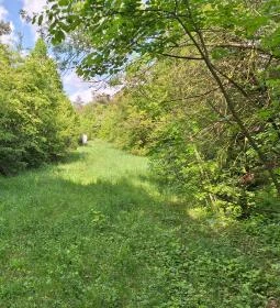 Újbudai Olimpia park