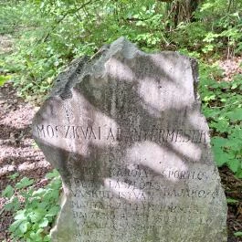 Újbudai Olimpia park, Budapest - Egyéb