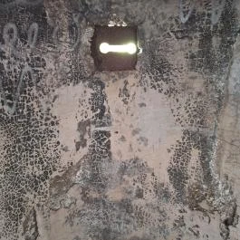 Újbudai Olimpia park, Budapest - Egyéb