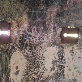 Újbudai Olimpia park, Budapest - Egyéb