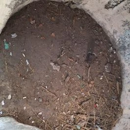 Újbudai Olimpia park, Budapest - Egyéb