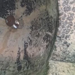 Újbudai Olimpia park, Budapest - Egyéb