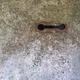 Újbudai Olimpia park, Budapest - Egyéb