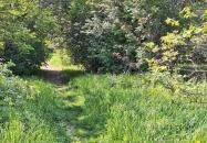 Újbudai Olimpia park Budapest