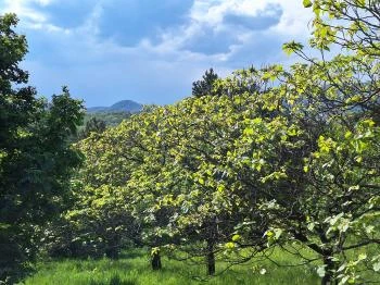 Újbudai Olimpia park Budapest