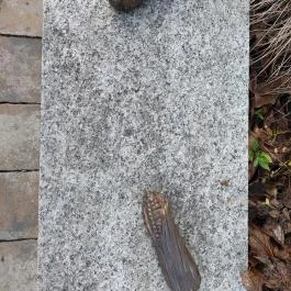 Az Újhegyi sétány meglepetés szobrai, Budapest - Egyéb