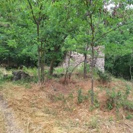 Újlaki templomrom Tihany - Külső kép