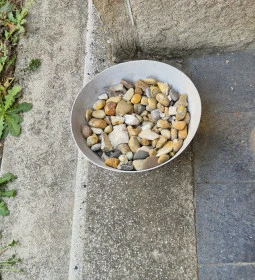 Újpesti Nagyzsinagóga