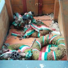 Ulmer Schachtel Tevel - Egyéb