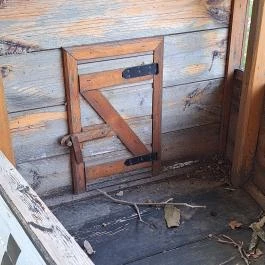 Ulmi doboz Hőgyész - Egyéb