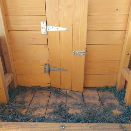 Ulmer Schachtel Hajós - Egyéb