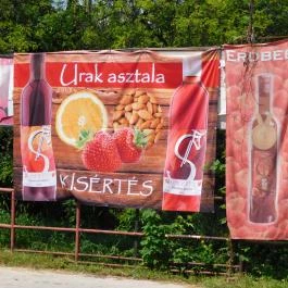 Urak Asztala Vendéglő Tahitótfalu - Egyéb