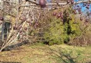 Ürményi-Dreher-kastély Vál