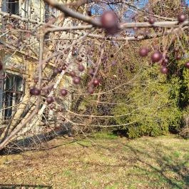 Ürményi-Dreher-kastély Vál - Külső kép