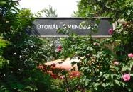 Útonálló Vendéglő Leányfalu