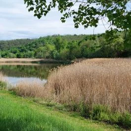 Üvegtigris Büfé, Tinnye - Egyéb