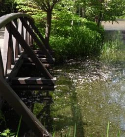 Vácrátóti Arborétum 