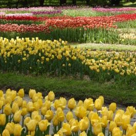 Vácrátóti Arborétum Vácrátót - Külső kép