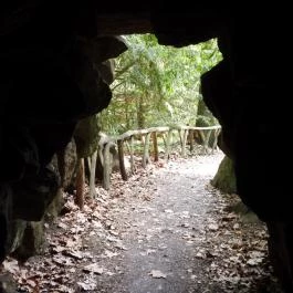 Vácrátóti Arborétum Vácrátót - Külső kép