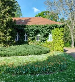 Vácrátóti Arborétum 