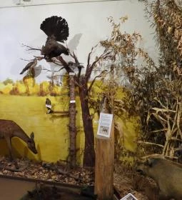 Vad- és Vadászati Kiállítás