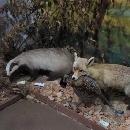 Vad- és Vadászati Kiállítás, Siklós - Egyéb