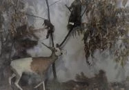 Vad- és Vadászati Kiállítás Siklós