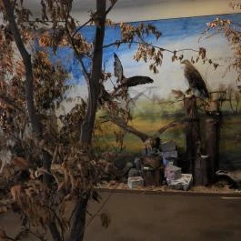 Vad- és Vadászati Kiállítás, Siklós - Egyéb