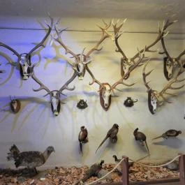 Vad- és Vadászati Kiállítás, Siklós - Egyéb