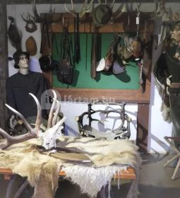 Vad- és Vadászati Kiállítás